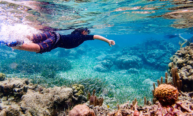 snorkling